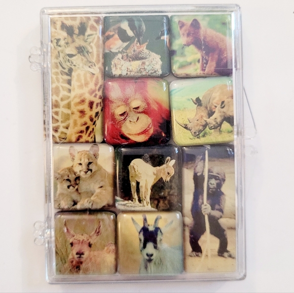 NWOT 10 Animals Mighty Magnets - Picture 1 of 10